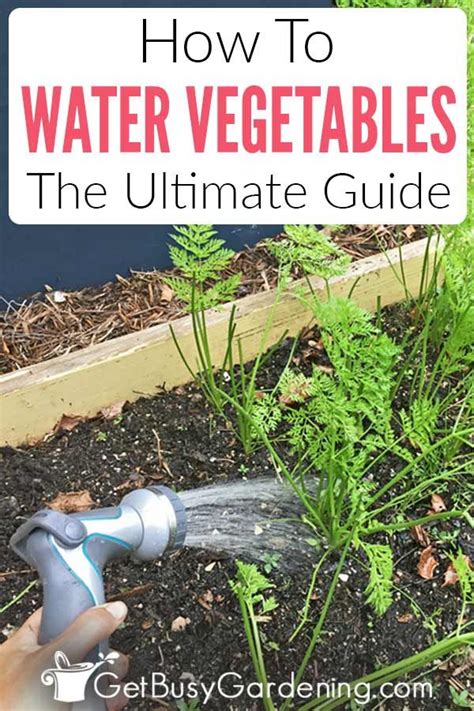 Mastering The Art Of Watering Your Vegetable Garden
