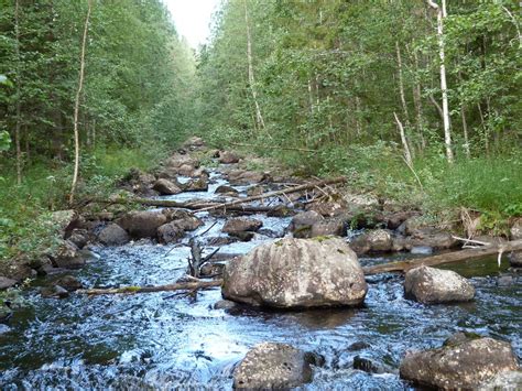 Restored streams take 25 years or longer to recover
