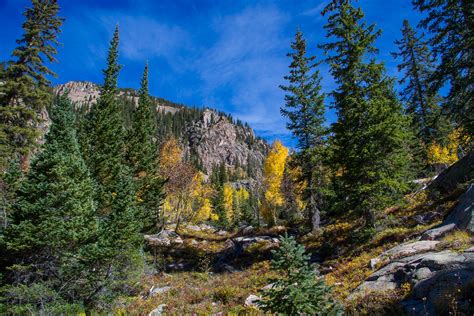 Check spelling or type a new query. Meanderthals | Bighorn Trail, Eagles Nest Wilderness