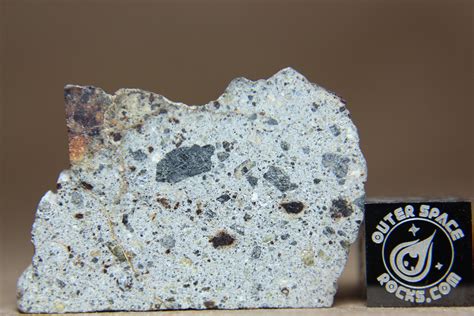 Nwa 8362 Hed Achondrite Howardite Meteorite Part Slice Visible Metal