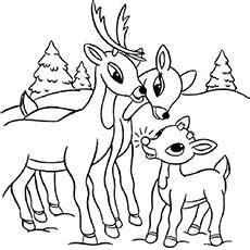 Download and print these reindeer christmas coloring pages for free. 20 Best Rudolph 'The Red Nosed Reindeer' Coloring Pages ...