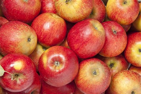 Cómo El Cambio Climático Podría Eliminar A La Popular Manzana Roja