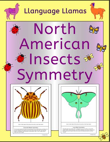 Symmetry North American Insects Teaching Resources