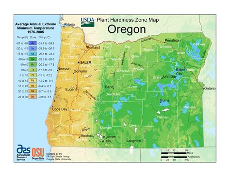 Usda Plant Hardiness Zone Map 101 Plants And Things