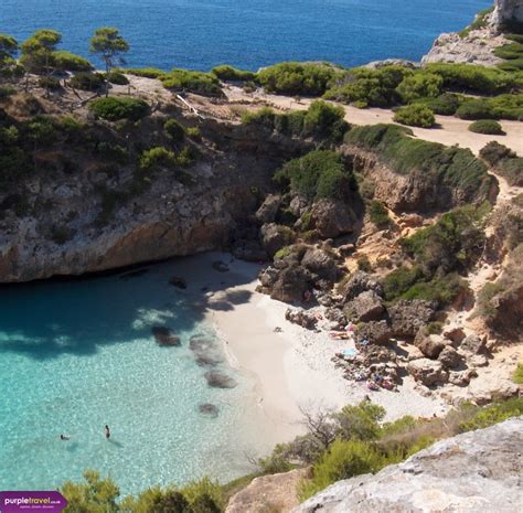 Cheap Holidays To Majorca 2016 Purple Travel Holiday