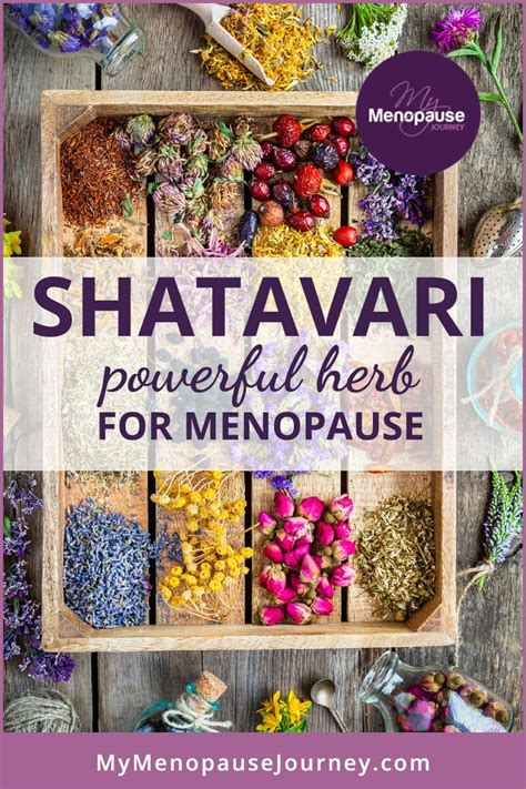 healthy shatavari benefits for menopausal women