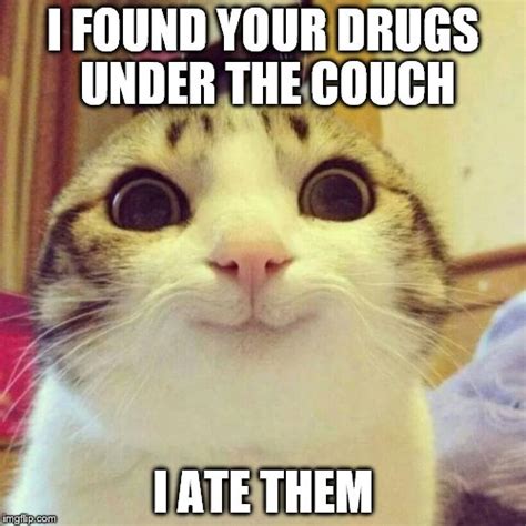 Cat Drugs Meme Captions Todays