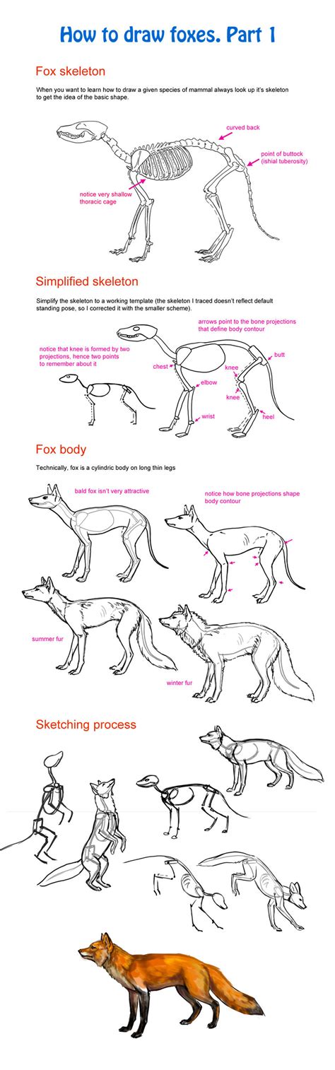 How To Draw Fox Part 1 By Elruu On Deviantart