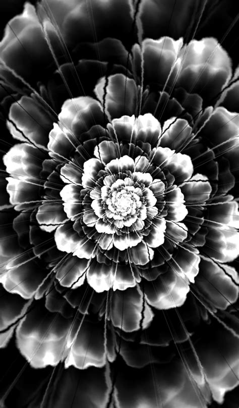 Black Flower Wallpaperappstore For Android