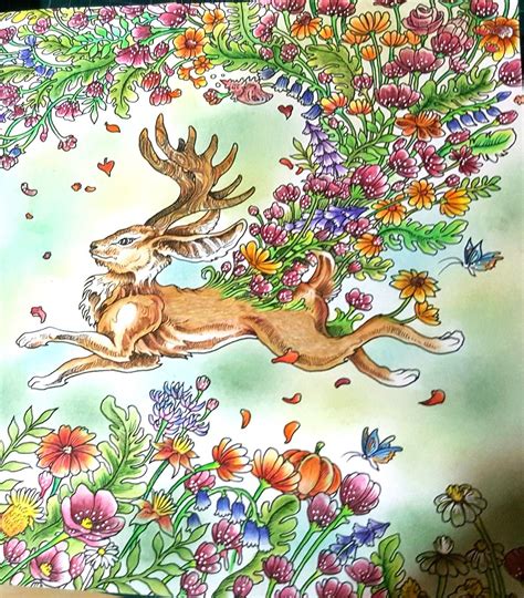 27 mythomorphia colored pages printable. Pin on Kerby Rosanes