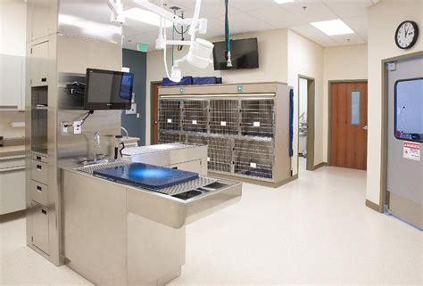 Veterinary Finance - Consultas