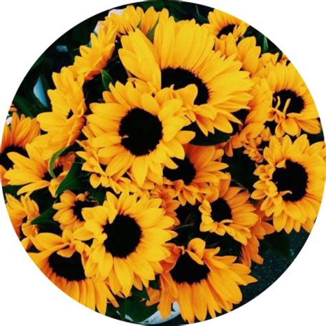 download hd flower tumblr fondo flores flor vintage fondocirculo yellow aesthetic flowers