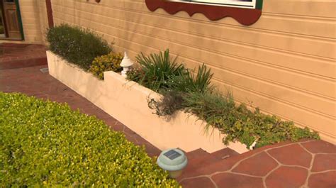 The termites that infested my apartment were drywood termites. Top 10 tips for a termite smart garden — Gold Coast Pest ...