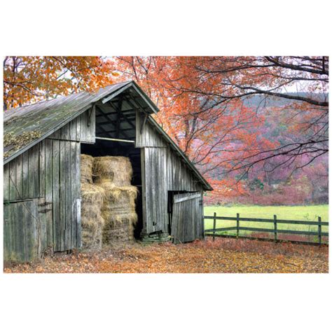 Farm building used to house animals or store hay and grain pref. An Old Barn With Hay Surrounded By Vibrant Fall Colors ...