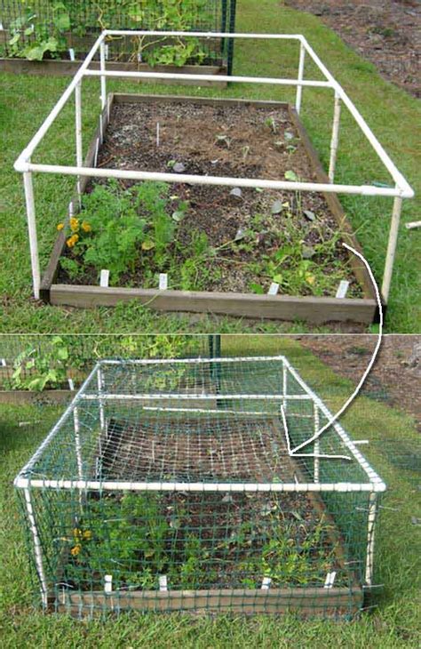 Top 20 Low Cost Diy Gardening Projects Made With Pvc Pipes Bio Prepper