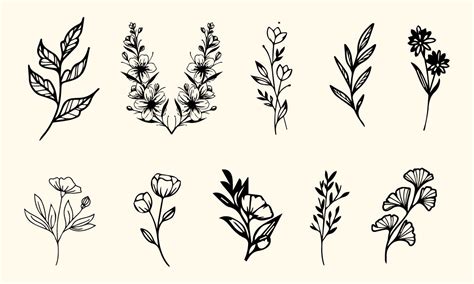 Hand Drawing Flower Line Art Set Vector Graphic By Pixeness · Creative