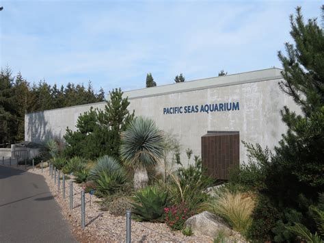 Pacific Seas Aquarium Exterior Zoochat