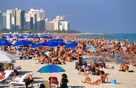 Crowds Sunbathing On South Beach On New Years Eve Miami Florida United
