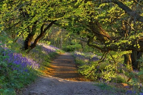 Redburn Country Park Outmoreni