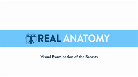 Real Female Anatomy Visual Examination Of The Breasts Nudity