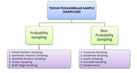 Pengertian Sampel Dan Contohnya - 6 Contoh Populasi Dan Sampel