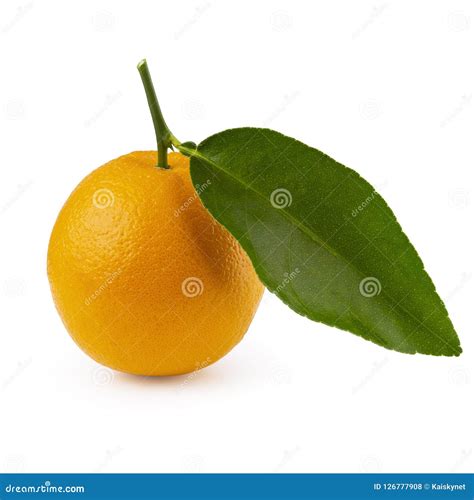 Fruit Orange Avec Des Feuilles Dorange Disolement Sur Le Fond Blanc