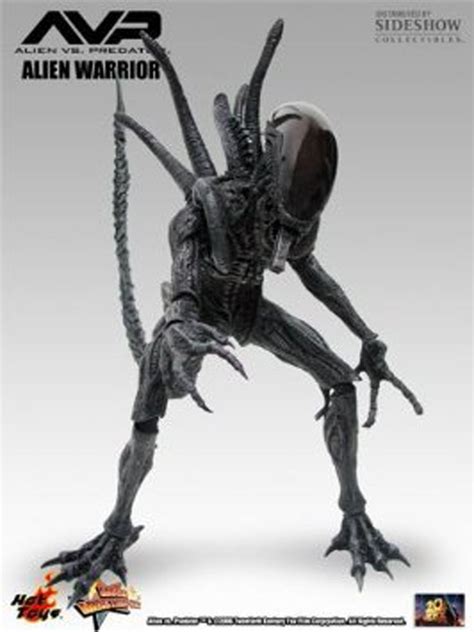Alien Vs Predator Avp Hot Toys Alien Warrior
