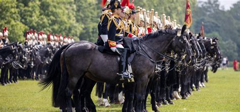 The Household Cavalry Pass Final Test For The Queens Birthday The