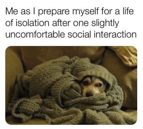 Feeling Alone And Isolated These Hilarious Memes Are For You A Total