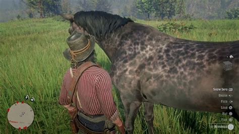 You'll find the black chestnut thoroughbred under the racing category. Red Dead Redemption 2 - All Thoroughbred horse coats - YouTube