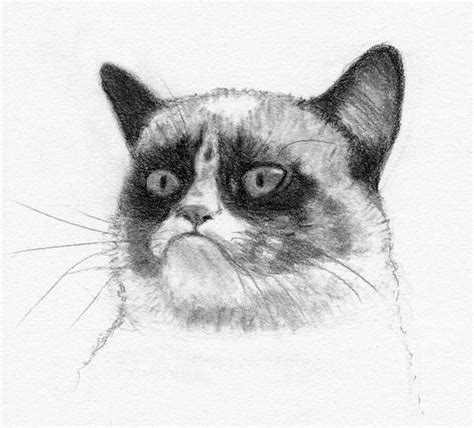 Grumpy Cat By Grini On Deviantart