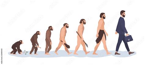 Vecteur Stock Human Evolution Stages Evolutionary Process And Gradual