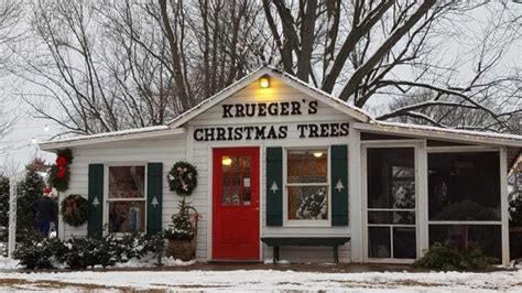 These 10 Lovely Christmas Tree Farms In Minnesota Are Picture Perfect