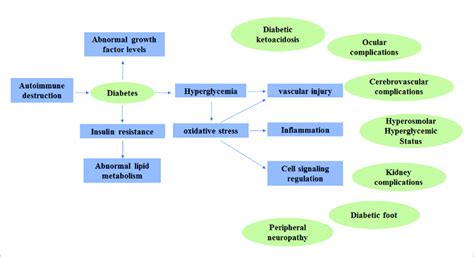 The Molecular Pathogenesis Of Diabetes Mellitus And Its Complications