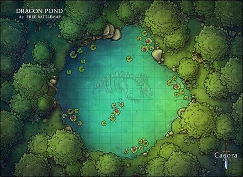 Caeora Is Creating Tabletop Maps Tokens Patreon Dnd World Map Dungeon Maps Cartography