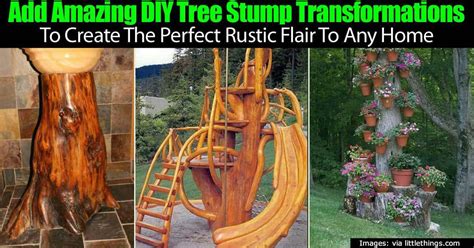 Add Amazing Diy Tree Stump Transformations To Create The