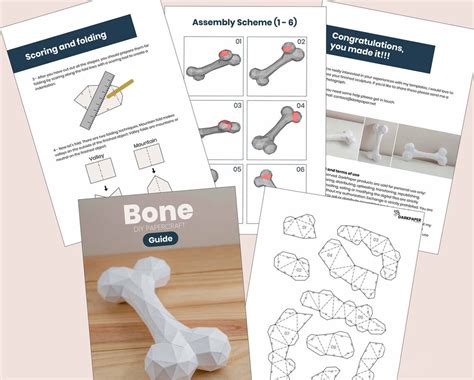 Bone Papercraft Template Diy Papercraft Bone Low Poly Diy Etsy Canada