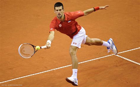 Novak Djokovic Tennis Player Hd Widescreen Wallpaper Male Tennis