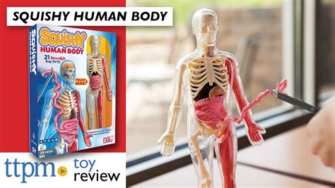 Squishy Human Body From Smartlab Science Toy Review Explore And