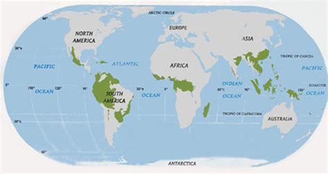The afrotropical (mainland africa, madagascar, and scattered islands), the map showing world distribution of rainforests. Geographer - Tropical RAINFOREST