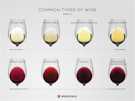 Common Types Of Wine Top Varieties To Know Wine Folly 2022