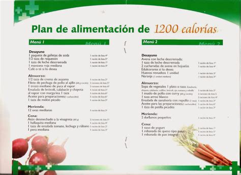 Dieta 1200 Calorias Menu Semanal