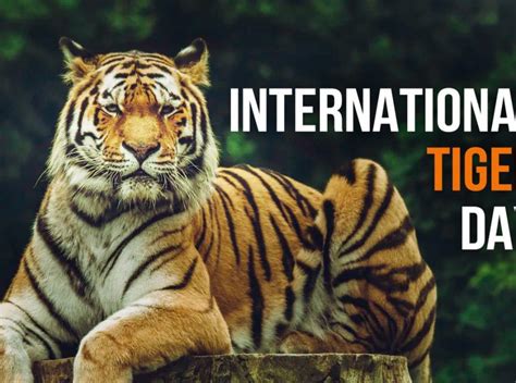 International Tiger Day 2022 Theme History Significance