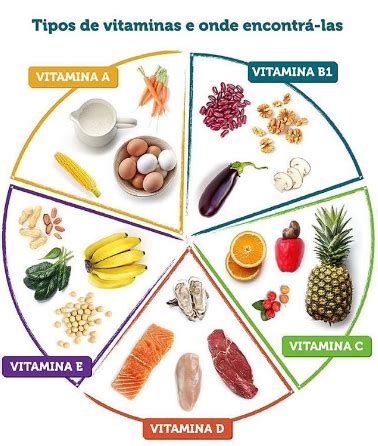 Saiba Quais Alimentos Precisa Para Obter Boa Quantidade De Vitaminas E