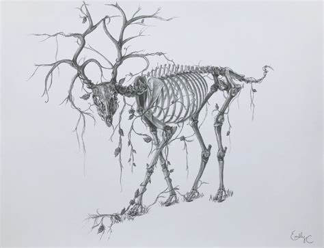 Deer Skeleton Graphite Drawing Print Original Artwork Etsy
