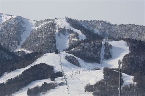 Snow Furano Ski In Furano Just Another Wordpress Site