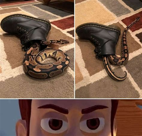 There Is A Snake In My Boot Meme Guy