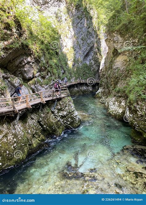 Vintgar Gorge Ou Gorge Sangrado Slovenia Triglav National Park Vintgar