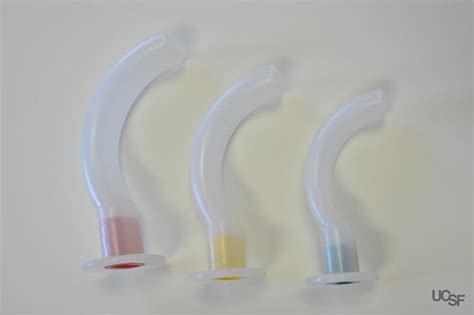 Simple Airway Adjuncts Anesthesia Airway Management Aam Airway