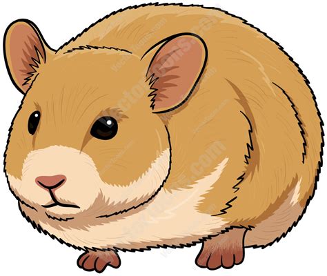 Clip Art Hamster Clip Art Library